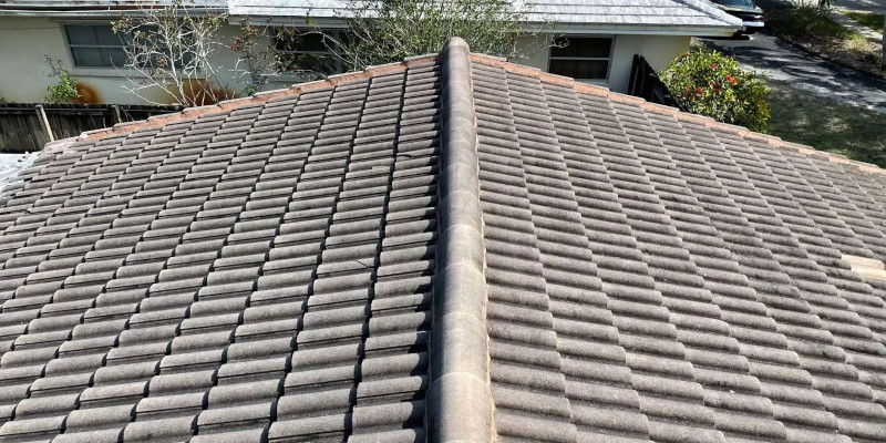 Roof Cleaning in Woodstock, Illinois